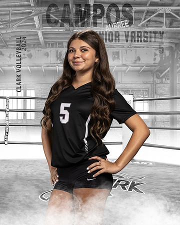 CHS_JV_VB_IND1-5