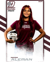 DHS_9th_VB_IND2-61