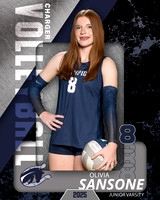 BHS_VB_JV_Ind1-42