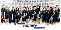 Varsity_White_Banner