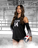 CHS_VAR_VB_IND1-94