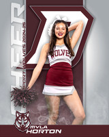 DHS_JV_CH_IND1-32