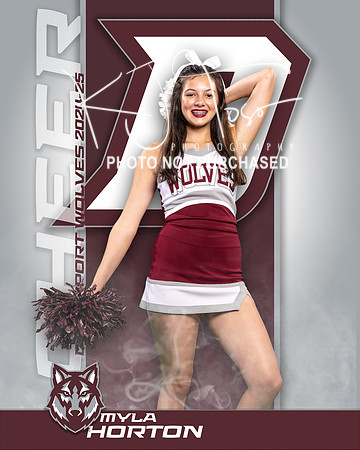 DHS_JV_CH_IND1-32