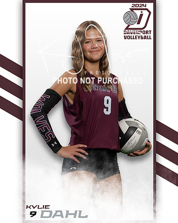 DHS_VAR_VB_IND2-39
