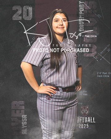 DHS_SB_V_Ind2-31