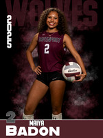 DHS_VB_JV_Ind1-50