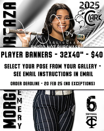 Player Banners