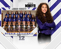WHS_VB_JV_MM-12