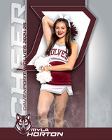DHS_JV_CH_IND1-40