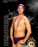 DHS_BWP_IND1-131
