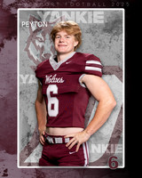 DHS_FB_Var_Ind1-7