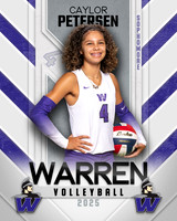 WHS_VB_Var_Ind1-38