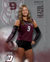 DHS_VAR_VB_IND1-54