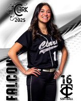 CHS_JVSB_Ind1-41