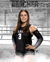CHS_VAR_VB_IND1-3