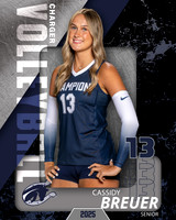 BHS_VB_Var_Ind1-12