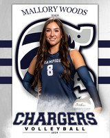 BHS_VAR_VB_IND1-49