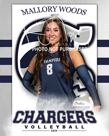 BHS_VAR_VB_IND1-49