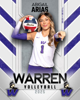 WHS_VB_Var_Ind1-69