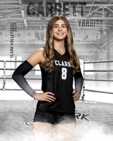 CHS_VAR_VB_IND1-28