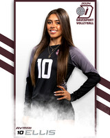DHS_JV_VB_IND2-10