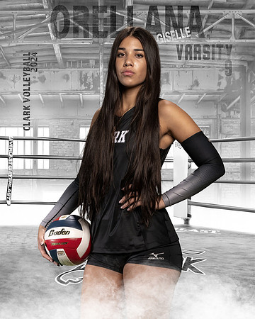 CHS_VAR_VB_IND1-89