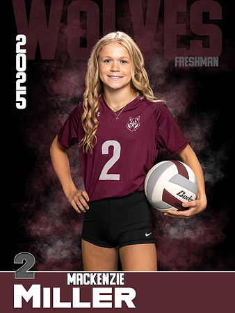 DHS_VB_9th_Ind1-29