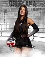 CHS_VAR_VB_IND1-69