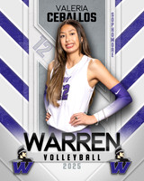 WHS_VB_Var_Ind1-12