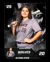 DHS_SB_V_Ind1-14